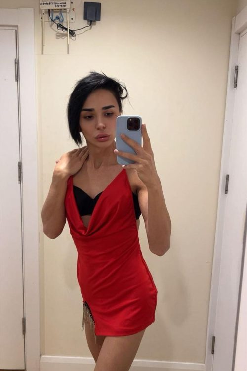 Trans Adel 19CM